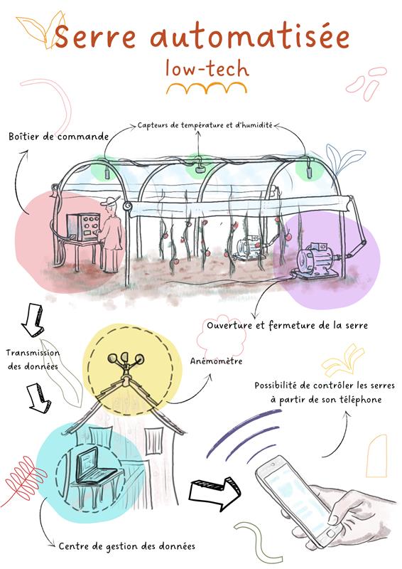 Automated Low-Tech Greenhouse System